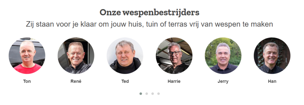 Infographic over gevolgen van wespensteek en symptomen van allergie voor wespengif