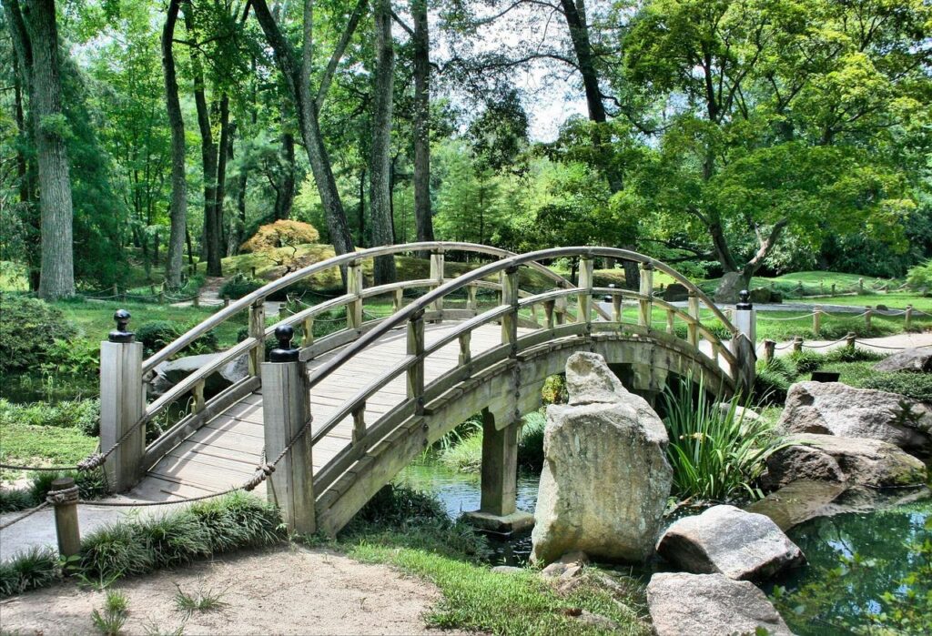 Groene duurzame tuin met diverse planten, regenwateropvang en inheemse bloemen voor biodiversiteit