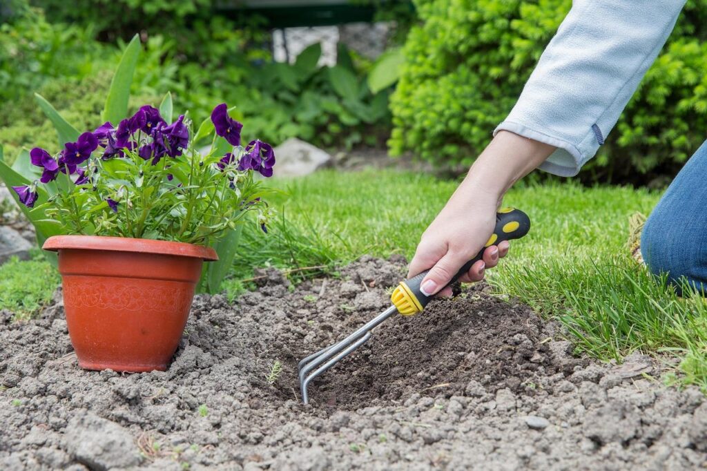 Tuinieren voor dummies - groene gids met planten, tuinontwerp en onderhoudstips voor beginnersgardeners